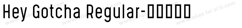 Hey Gotcha Regular字体转换